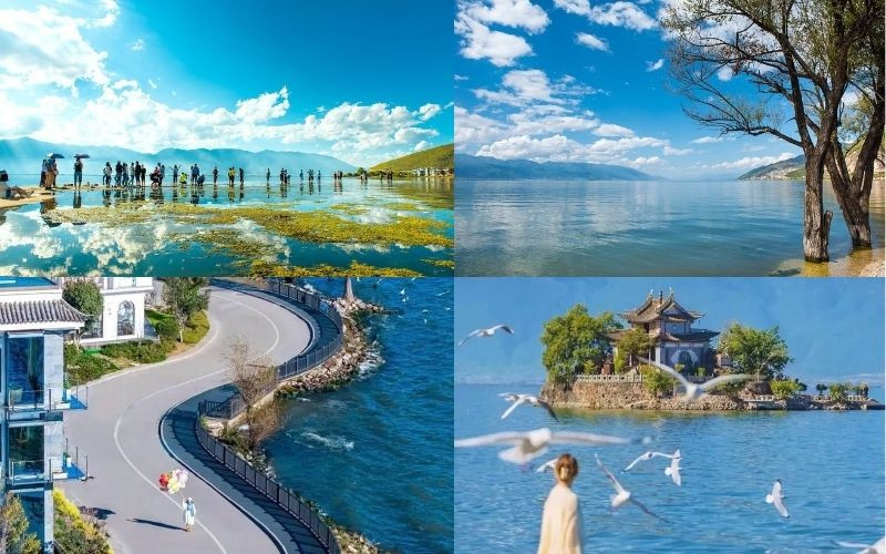 Đại Lý nên đi đâu? Hồ Nhĩ Hải nổi bật với mặt nước trong xanh và khung cảnh thơ mộng Đại Lý nên đi đâu? Hồ Nhĩ Hải nổi bật với mặt nước trong xanh và khung cảnh thơ mộng