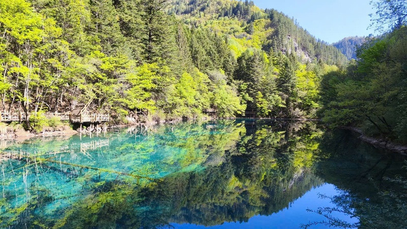 Hồ nước ở Cửu Trại Câu xanh màu ngọc bích cực thơ mộng