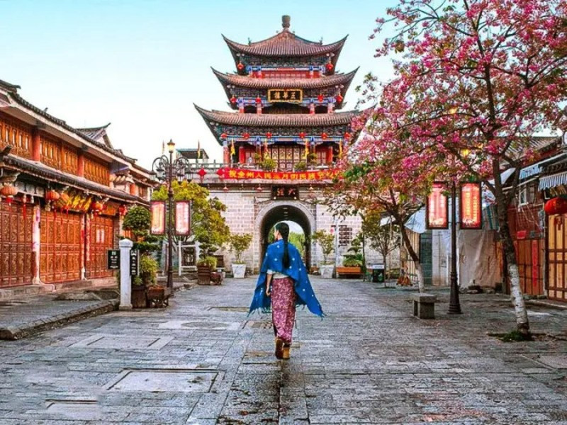 Hoa anh đào nở rộ tại Phố cổ Lệ Giang Hoa anh đào nở rộ tại Phố cổ Lệ Giang