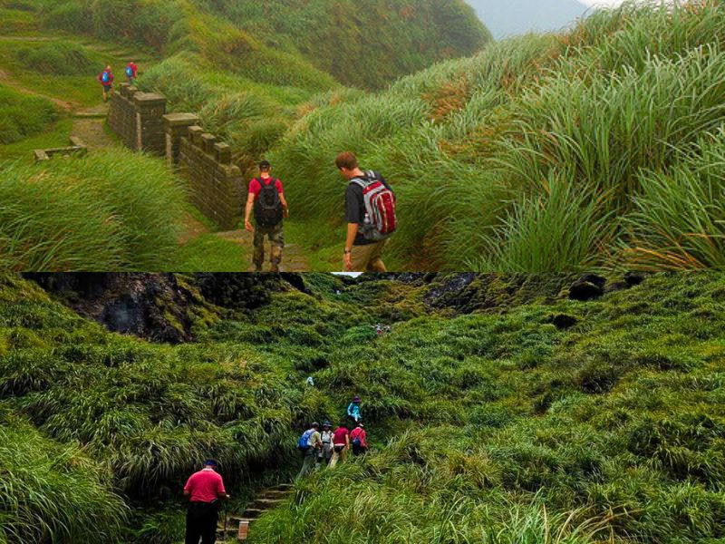 Tham gia hoạt động trekking và leo núi 