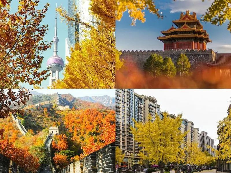 Khung cảnh đẹp như mơ mà chỉ ở Thượng Hải mới có