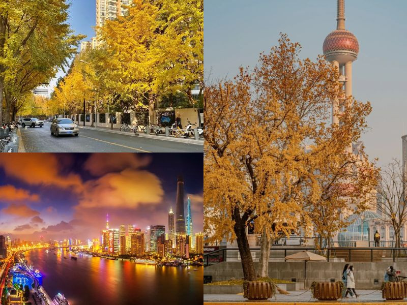 Khung cảnh đẹp tựa như tranh vẽ ở Thượng Hải Khung cảnh đẹp tựa như tranh vẽ ở Thượng Hải