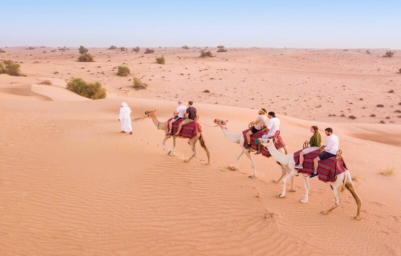 cưỡi lạc đà băng qua sa mạc ở Mông Cổ
