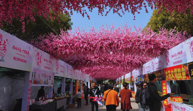 Lễ hội hoa Đào Nam Huy ở Thượng Hải Lễ hội hoa Đào Nam Huy ở Thượng Hải