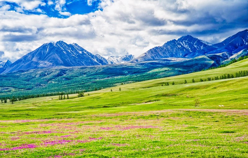 Du lịch Mông Cổ mùa hè 