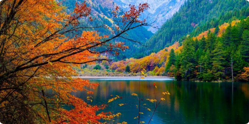 Cửu Trại Câu rực rỡ sắc vàng đỏ khi mùa thu về Cửu Trại Câu rực rỡ sắc vàng đỏ khi mùa thu về