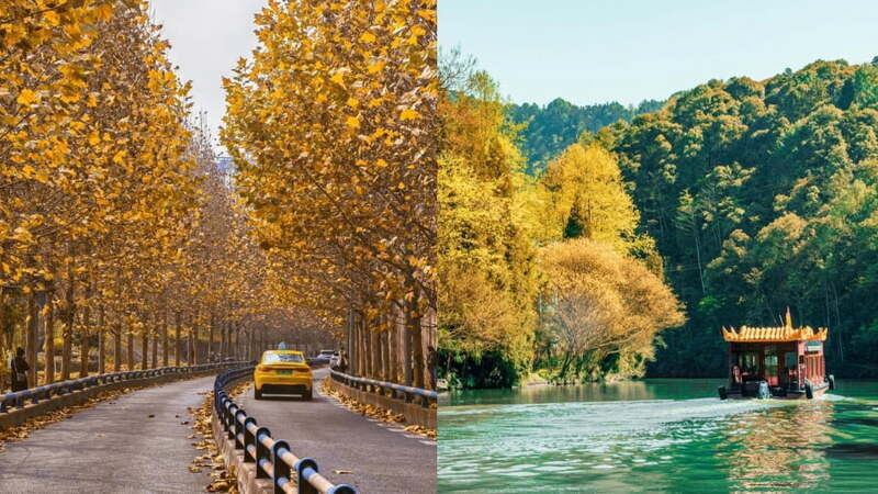 Thiên nhiên kỳ vĩ và độc đáo mùa thu ở Trùng Khánh 