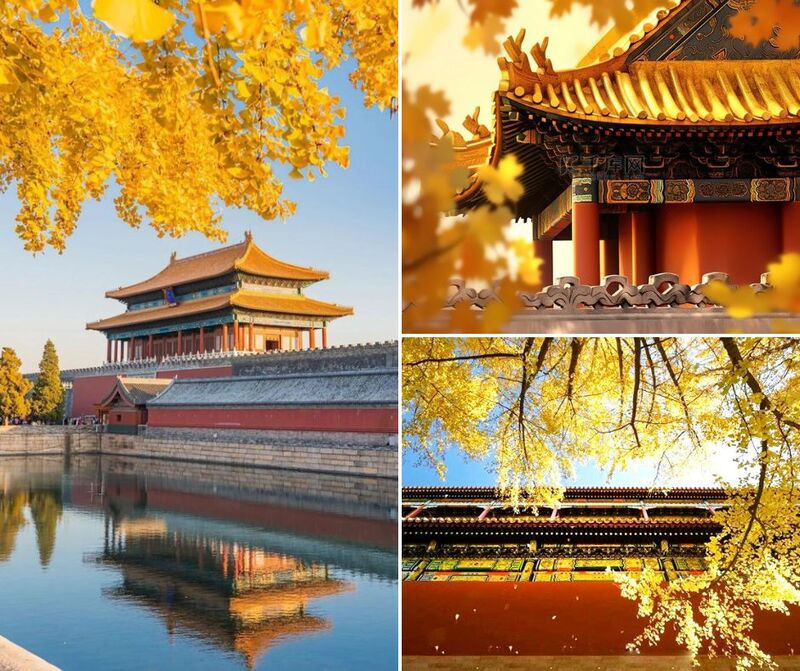 Tử Cấm Thanh uy nghiêm trở nên thơ mộng Tử Cấm Thanh uy nghiêm trở nên thơ mộng