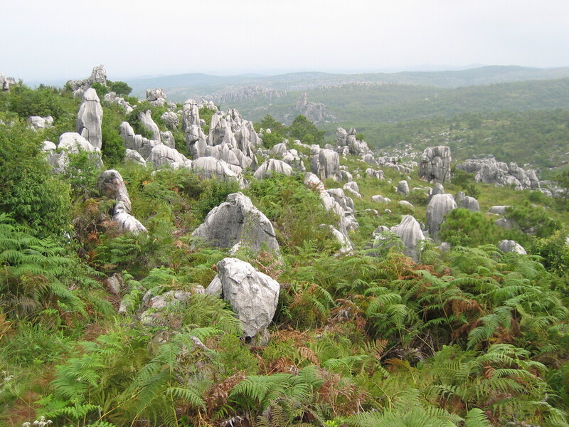 Núi đá vôi Vũ Long
