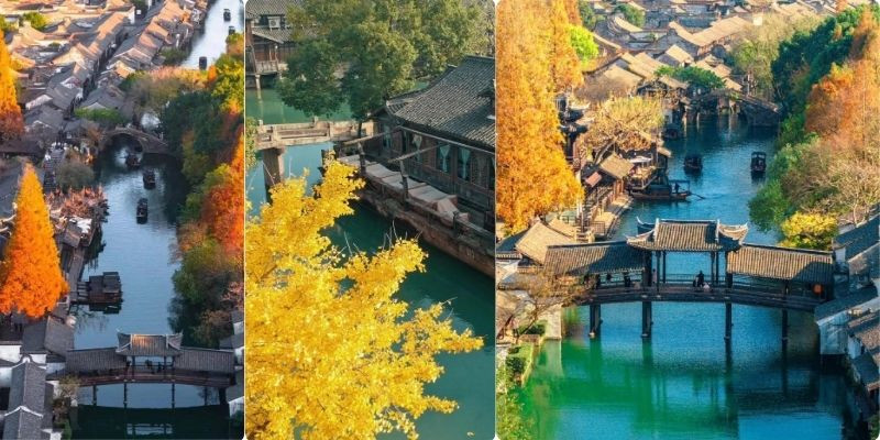 Tháng 10 - 11 là khoảng thời gian lý tưởng để cảm nhận vẻ đẹp mùa thu Ô Trấn