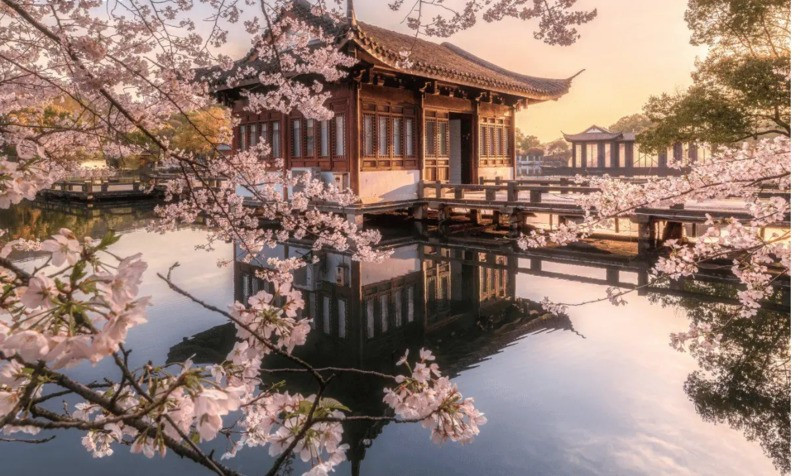 Vẻ đẹp thơ mộng Tây Hồ với sắc anh đào nhẹ nhàng Vẻ đẹp thơ mộng Tây Hồ với sắc anh đào nhẹ nhàng