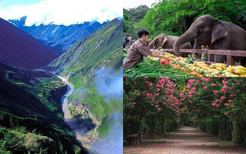 Thiên nhiên xanh mướt - Dịu mắt thoải mái 