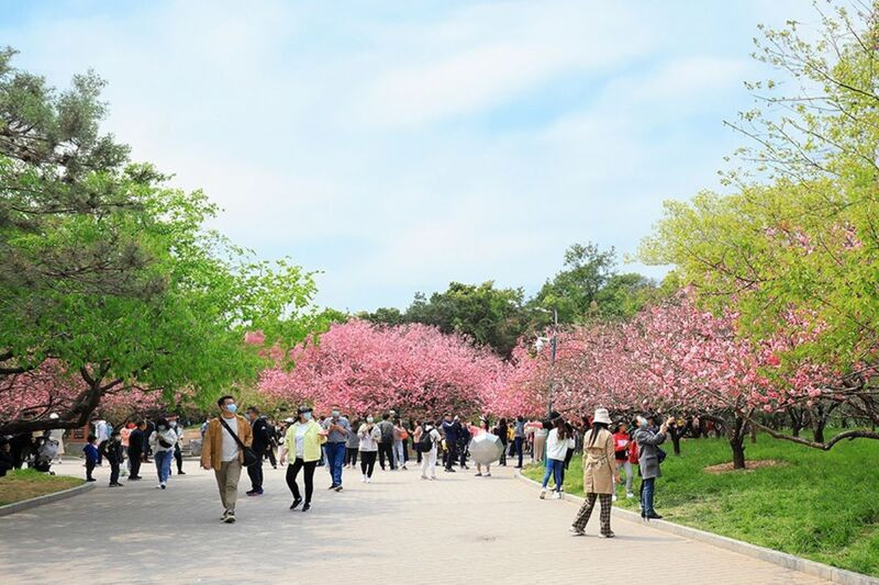 Thời tiết ở Thượng Hải