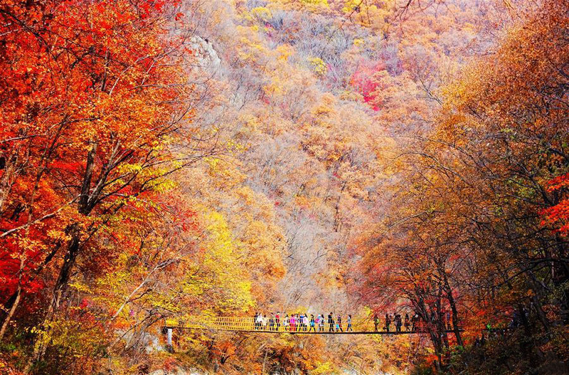 Thung lũng lá đỏ ở Jiaohe