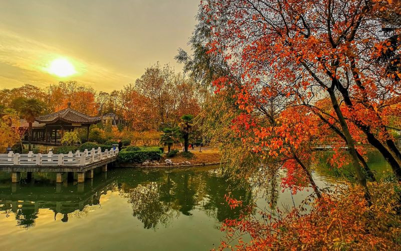 Tiết trời lý tưởng để thong thả khám phá Nam Kinh Tiết trời lý tưởng để thong thả khám phá Nam Kinh