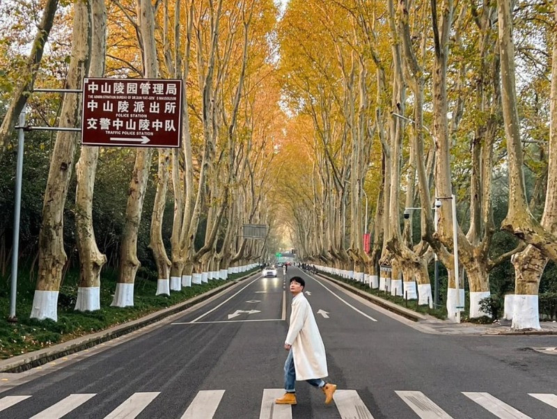 Tour Nam Kinh đầy mới mẻ (Ảnh sưu tầm) Tour Nam Kinh đầy mới mẻ (Ảnh sưu tầm)