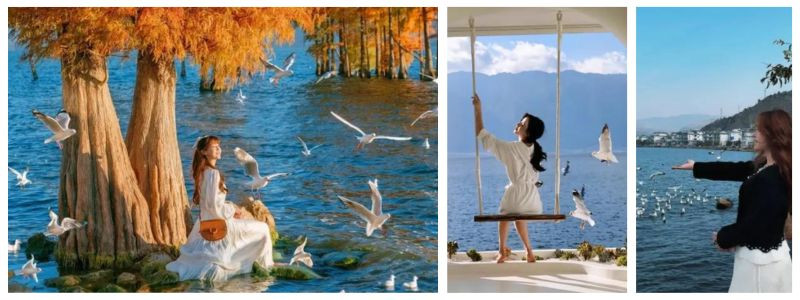 Trang phục tối giản giúp nổi bật giữa Hồ Nhĩ Hải và đàn hải âu Trang phục tối giản giúp nổi bật giữa Hồ Nhĩ Hải và đàn hải âu