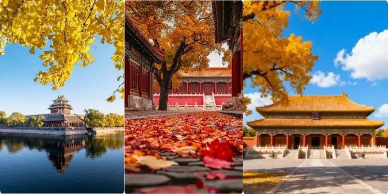 Tử Cấm Thành vào mùa thu 