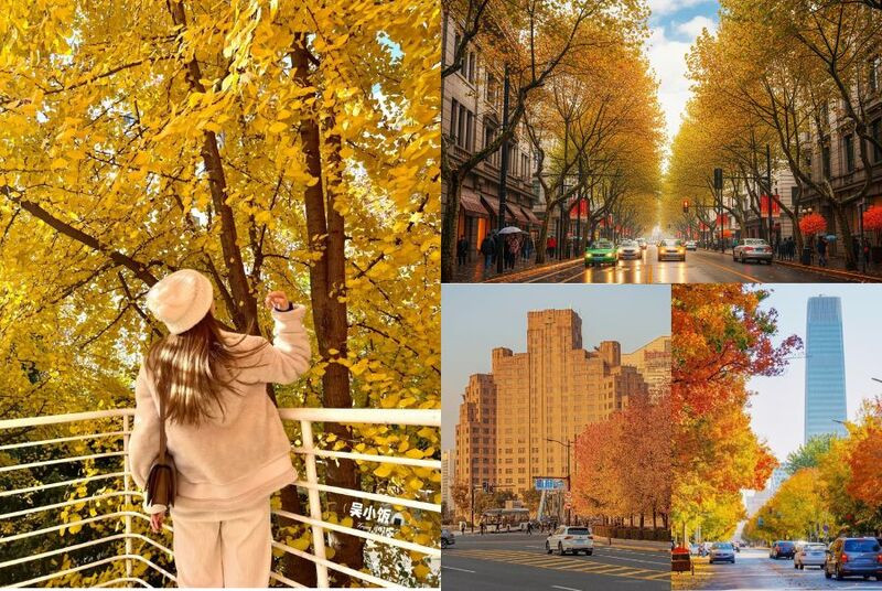 Du lịch Thượng Hải mùa thu