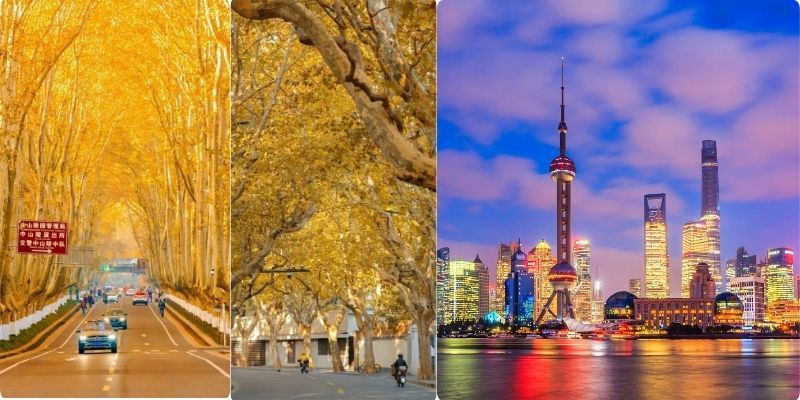 Tour nam kinh thượng hải - một trong những điểm đến thu hút khách du lịch vào mùa thu Tour nam kinh thượng hải - một trong những điểm đến thu hút khách du lịch vào mùa thu