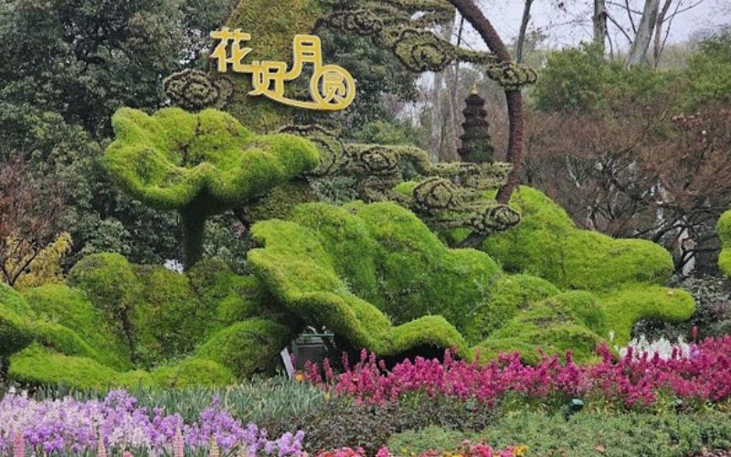 Ảnh vườn thực vật Hàng Châu 