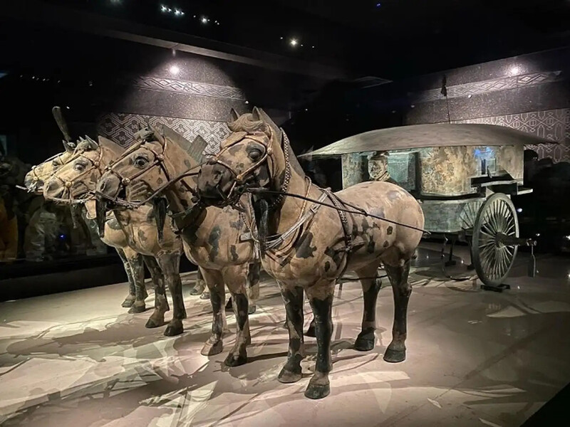 Các cỗ xe ngựa trong bảo tàng 