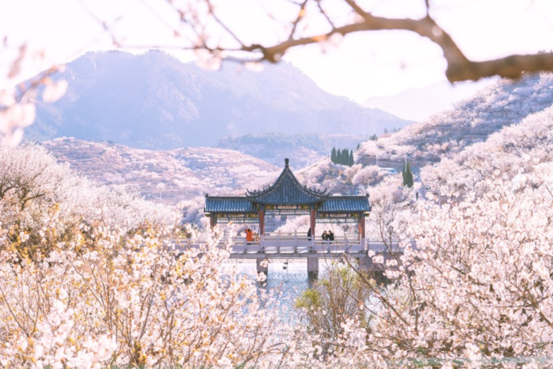 Trung Quốc tháng 5