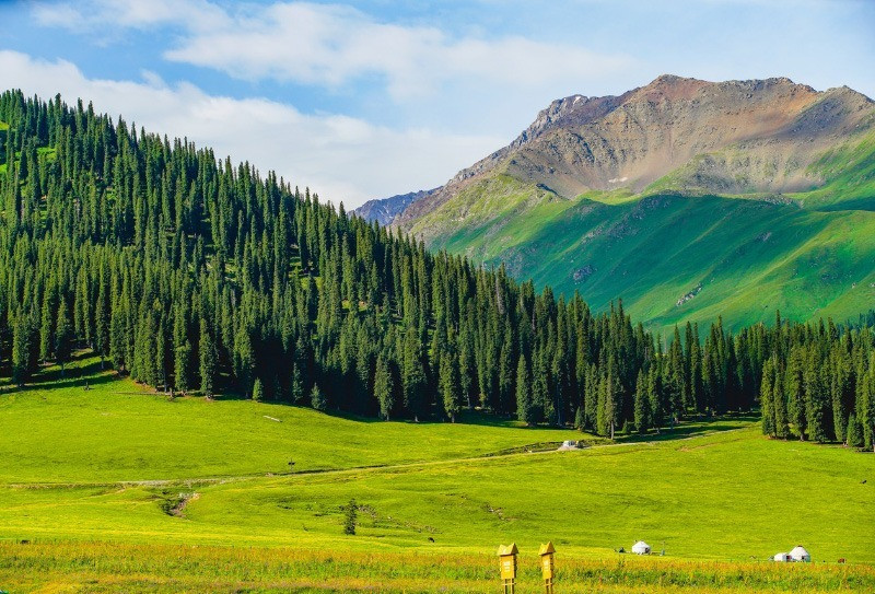 Vẻ đẹp của Tân Cương