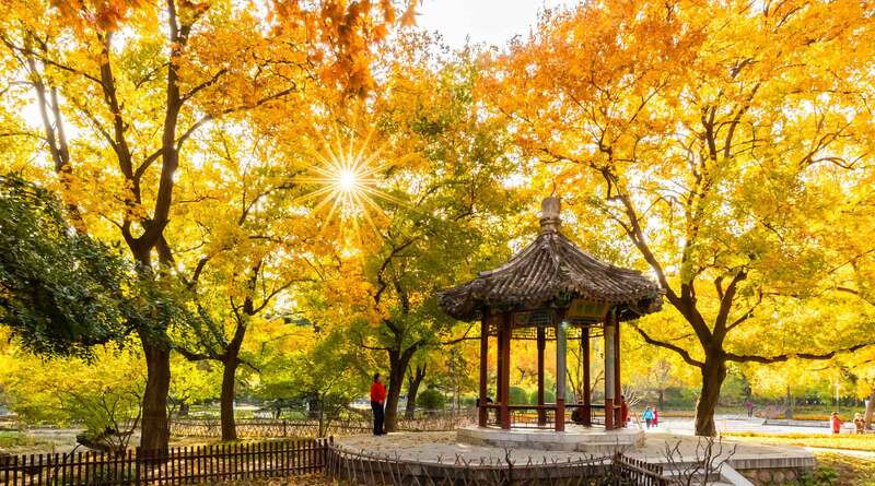 Thời tiết có nắng mát mẻ