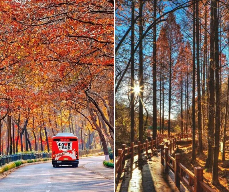 Giao điểm rực rỡ sắc thu Giao điểm rực rỡ sắc thu