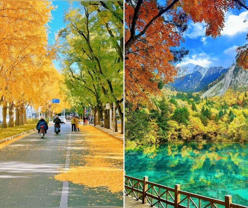 Thời tiết nhẹ nhàng thoải mái di chuyển nhiều nơi Thời tiết nhẹ nhàng thoải mái di chuyển nhiều nơi