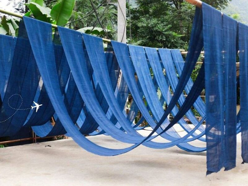 Vải “ Dược Ban ” có màu xanh cực kì độc đáo thu hút du khách 