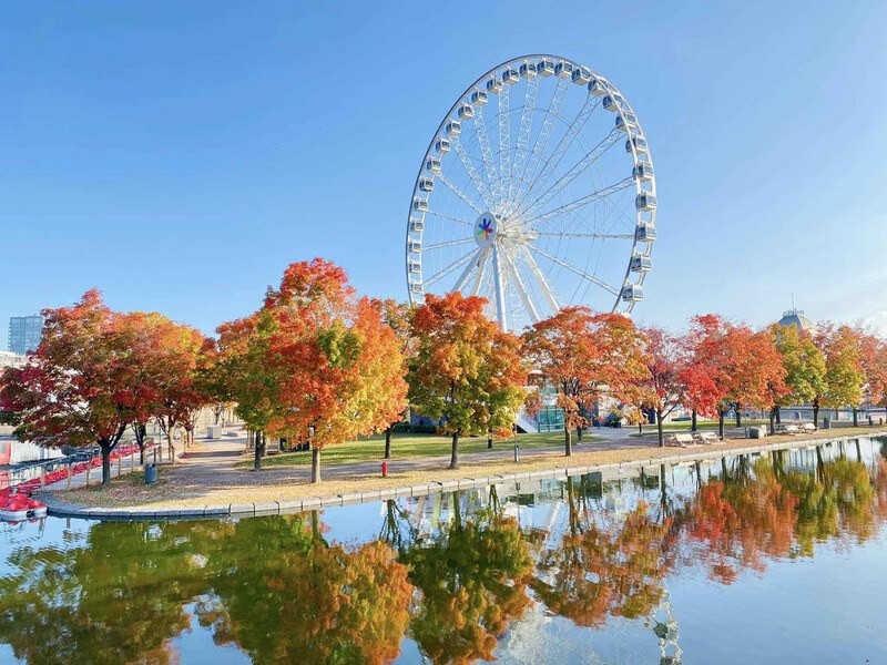 Montreal được phủ sắc thu