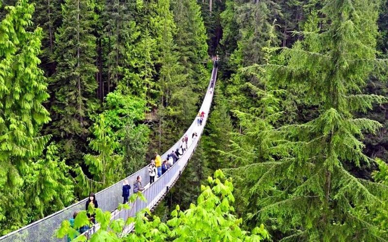 Cầu treo Capilano Suspension Bridge