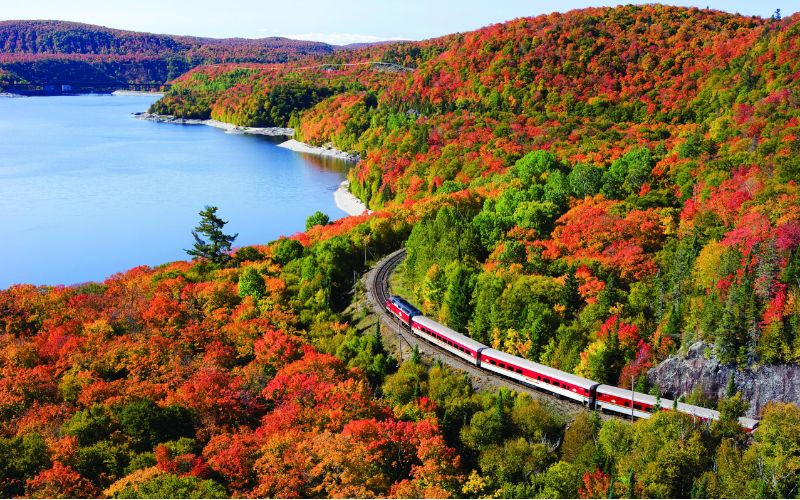 Chuyến tàu xuyên vùng hoang dã Ontario 