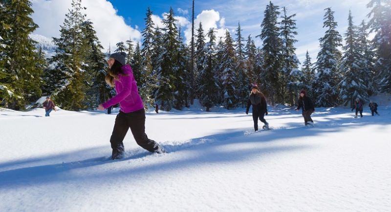 Trải nghiệm đi bộ qua tuyết tại làng Whistler Trải nghiệm đi bộ qua tuyết tại làng Whistler