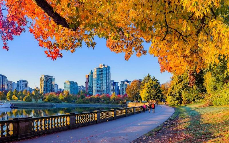 Mùa thu nhẹ nhàng và sâu lắng tại Vancouver 
