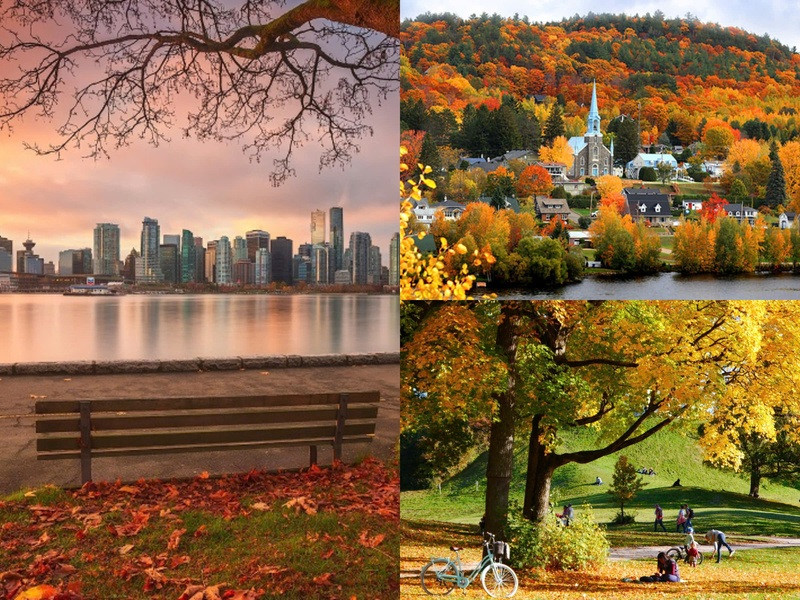 Canada được bao phủ bởi sắc thu