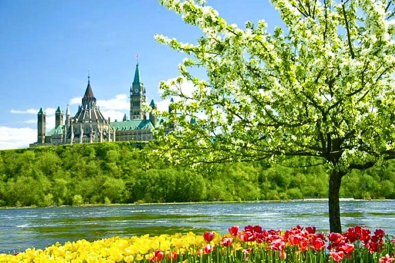 Cảnh xuân Canada cũng không hề thua kém