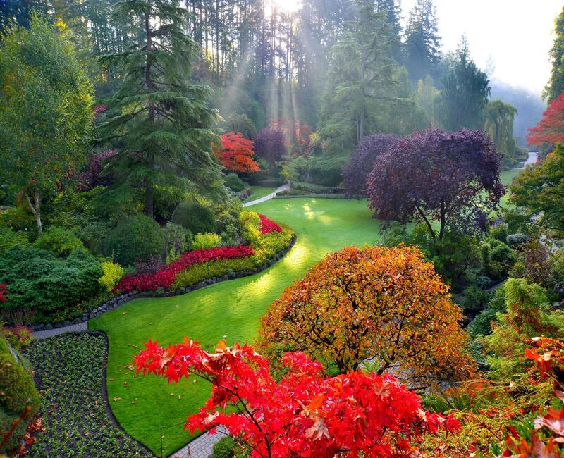 Vườn Butchart Gardens đầy màu sắc 