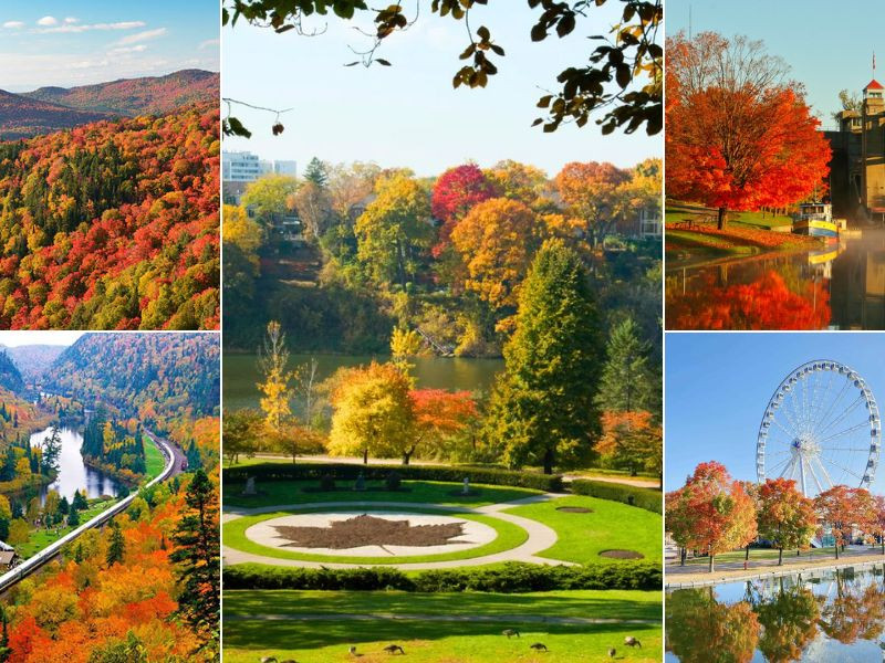 Lựa chọn đi canada tại Đất Việt tour