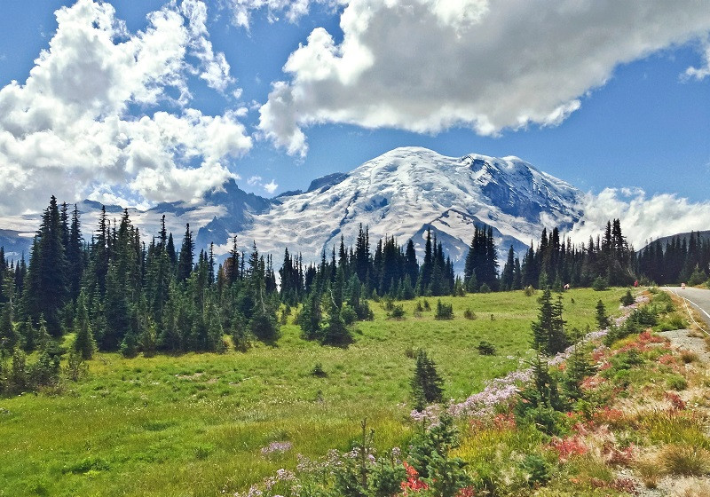 Vườn Quốc gia Mount Rainier, Washington 