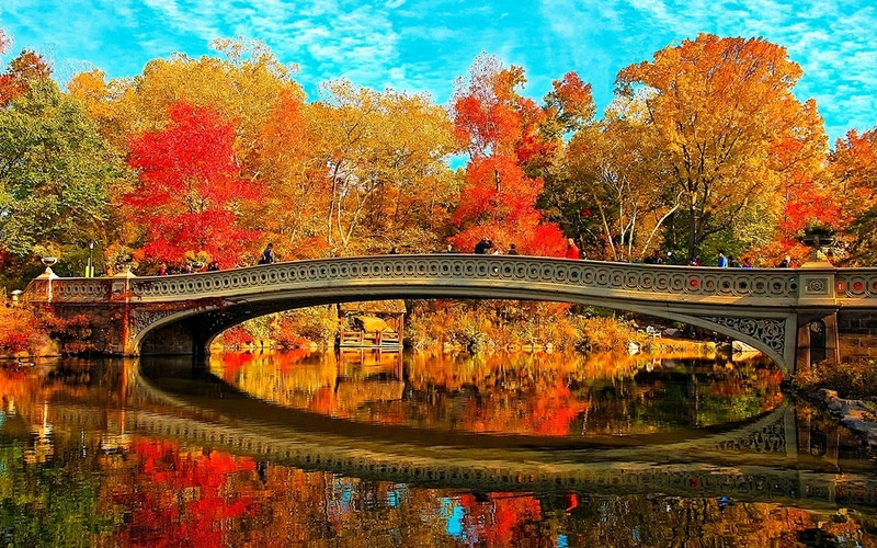 Khung cảnh mùa thu lãng mạn tại Central Park