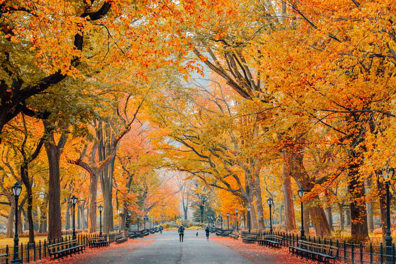 Đường The Mall, Central Park vào mùa thu