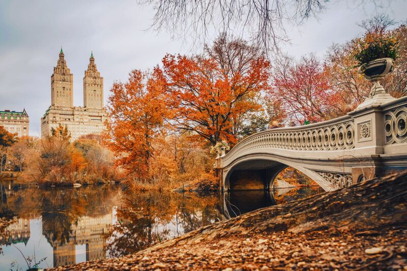 Du lịch mùa thu - Trải nghiệm mùa thu tại Central Park