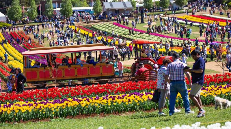 Khu hội chợ Lễ hội Hoa tulip