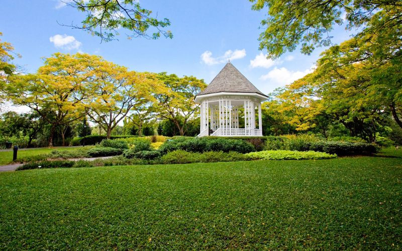 Khung cảnh khu vườn Botanical Gardens 