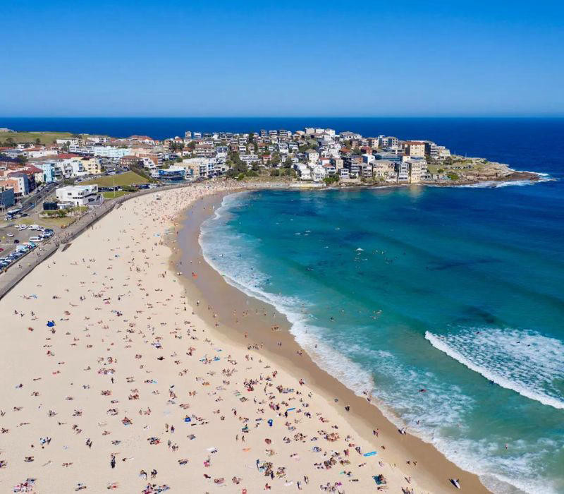 Tắm nắng mùa hè tại bãi biển bondi 