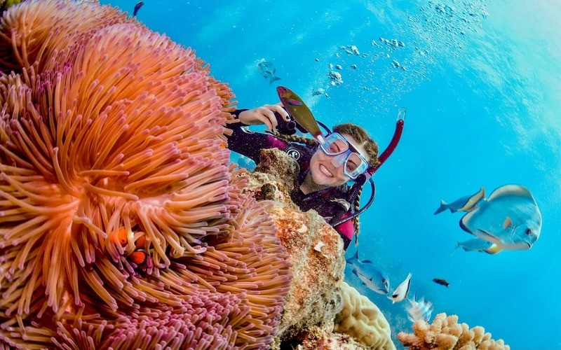 Great Barrier Reef - khám phá thế giới rực rỡ dưới đáy đại dương