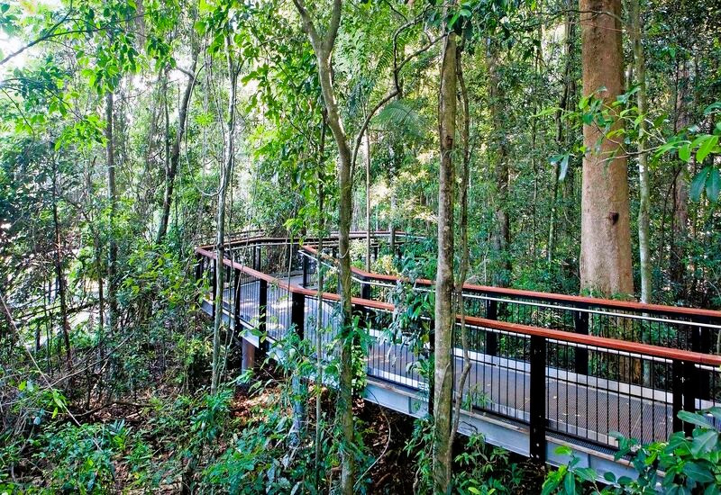 Scenic Walkway